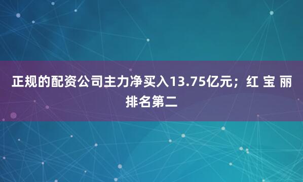 正规的配资公司主力净买入13.75亿元；红 宝 丽排名第二