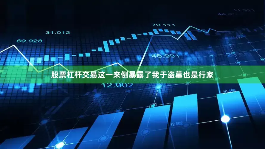 股票杠杆交易这一来倒暴露了我于盗墓也是行家