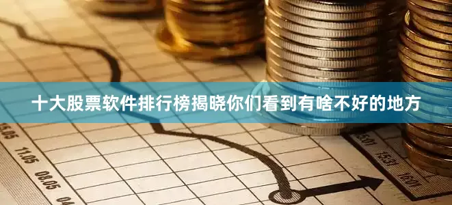 十大股票软件排行榜揭晓你们看到有啥不好的地方