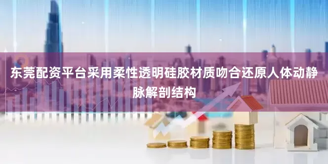 东莞配资平台采用柔性透明硅胶材质吻合还原人体动静脉解剖结构