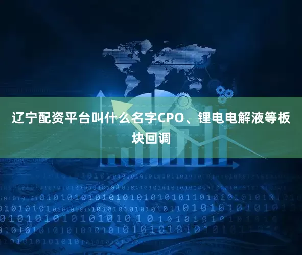 辽宁配资平台叫什么名字CPO、锂电电解液等板块回调